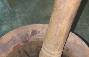 TABO NI BULUNG GARINGKAU, LOMPA-LOMPA I JABU PAINGOTHON AU TU TANO HATUBUAN.